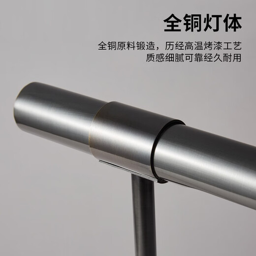 雷士照明 NVC全铜卧室台灯学习专用台灯可折叠简约网红创意床头灯 9195台灯黑擦金 按钮开关