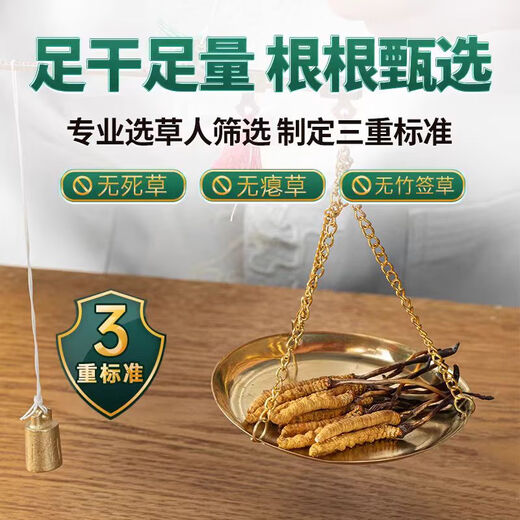 藏芝翁高海拔冬虫夏草精选头茬干虫草高端滋补礼盒送长辈送领导送客户 3根/克共20克【商务超值虫草礼盒】