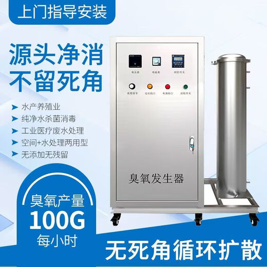Jesas ozone generator high concentration ozone machine swimming pool water aquaculture water sewage pipe water supply space air sterilization and deodorization equipment F03-300G oxygen source