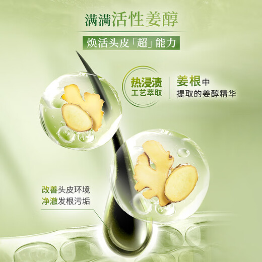 施华蔻（Schwarzkopf）生姜精华洗发露套装(洗发水600ml*2) 控油去屑净澈头皮无硅洗头膏