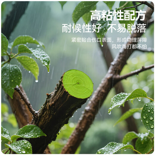 Stanley plant wound healing agent grafting and pruning fruit tree bark smear artifact bonsai healing paste 500g