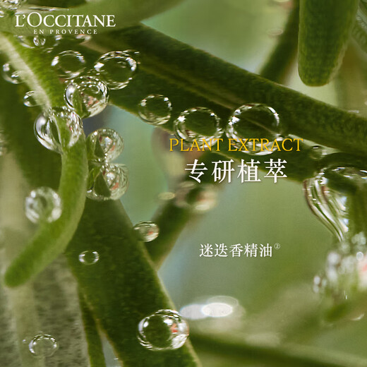 欧舒丹草本香强韧丰盈洗发露(替换装）500ML 韧发瓶防断发强韧发丝