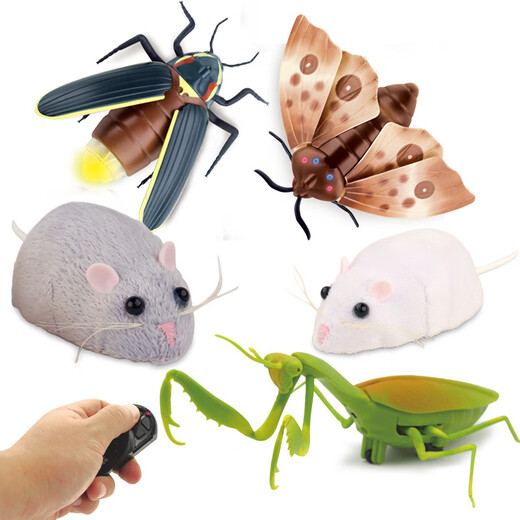Original direct supply, novel and unique remote control electric insect toys, electric snail and mouse prank, 9922 ladybug, 130G, weight 0.28kg
