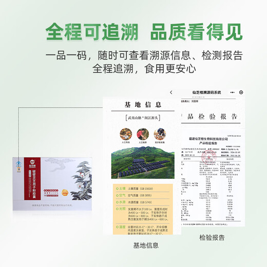 仙芝楼【国标制定】四大有机破壁灵芝孢子粉胶囊 增强免疫 营养品保健品 4盒 720g 【全年量】三萜12.5g