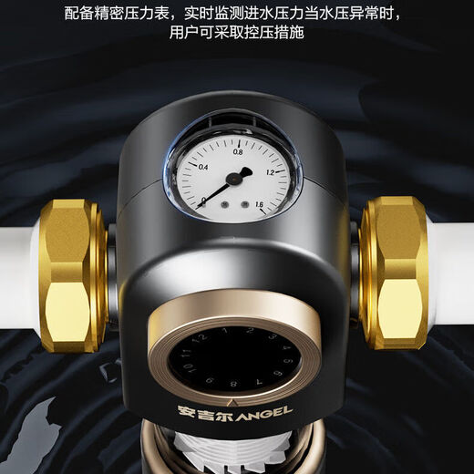 安吉尔前置过滤器家用全屋中央净水器流量自来水净水机正品3524 实时水压检测【包安装】