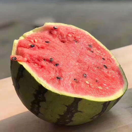 Super sweet 18 degree rock sugar Kirin watermelon seeds super 8424 sweet, crisp, juicy and crack-resistant thin-skinned round watermelon seeds 400 capsules jar Jinmeidu