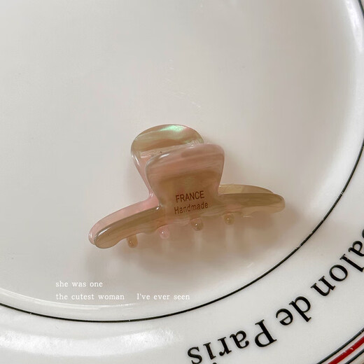 Xiao Panda Acetate Small Small Hair Clip Half-tied Shark Clip Women's Back of Head Hair Clip Hair Clip with Small Hair Volume Pastel Color 4.5cm