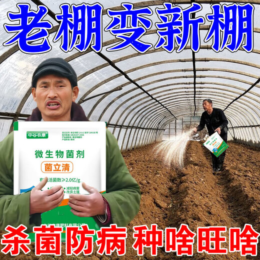 Zhonggu Nongkang (ZGNK) soil fungicide special for agricultural soil-borne diseases disinfection and sterilization soil anti-heavy crop dead seedling rot and root rot fungicide soil pathogen cleaner 1 bag small quantity is not enough