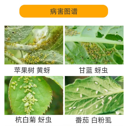 Tianguan Aphid Whitefly Pesticide Additive with Bayer Aimela 70% Imidacloprid Insecticide 50g+50ml/set