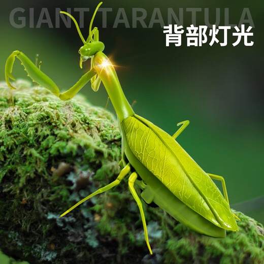 Juguetes de simulación eléctrica de mantis controlado a remoto Los niños de cucarachas de artefactos de broma douyin pueden mover animales de rastreo de arañas [versión clásica-ciempiés controlado remoto] modelo amarillo y negro 9901+ estándar oficial oficial