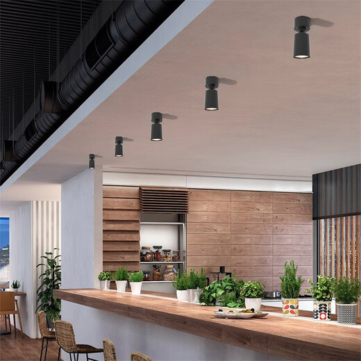 NVC surface-mounted spotlight LED shop commercial household ceiling-mounted track light ceiling light picture wall washing black 12W warm white