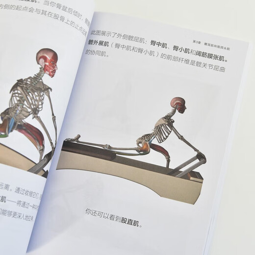 Anatomical Illustration of Pilates Bed Stretching Training by Anthony Wright Health Care