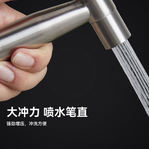 Dezhong spray gun high pressure water spray gun flushing water gun D61 304 stainless steel