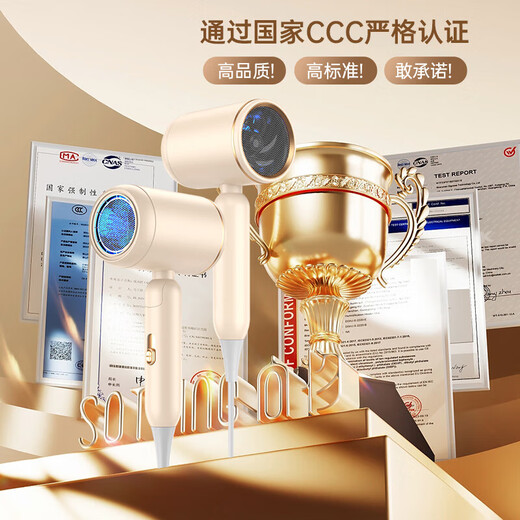 Hilda German folding hair dryer for home use high-power negative ion student dormitory silent quick-drying without damage power-generating hair dryer 4800 Supreme Edition + m top motor billion ion collagen hair care