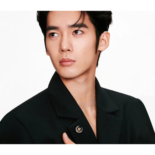 Shijun (SHIJUN) brooch men's brand corsage brooch men's suit sun and moon brooch high-end design exquisite time gold star moon brooch