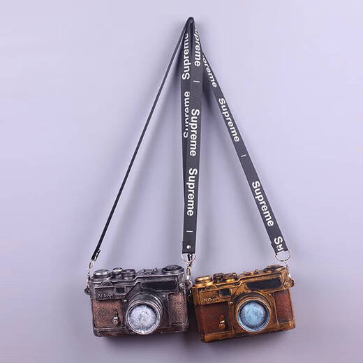 Yonghuan Retro Creative Camera Model Model магазин магазин магазин дома украшения кофейня.