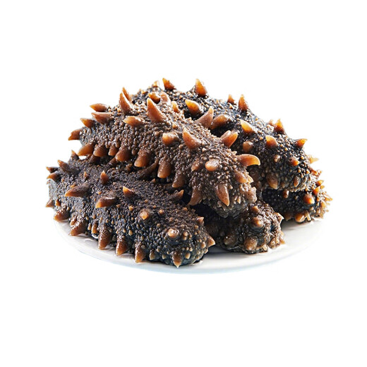 Fishing Travel Notes Ready-to-eat sea cucumber Dalian sea cucumber 500g Liao sea cucumber dry sea cucumber 13-17 pieces/Jin Jin equals 0.5 kg
