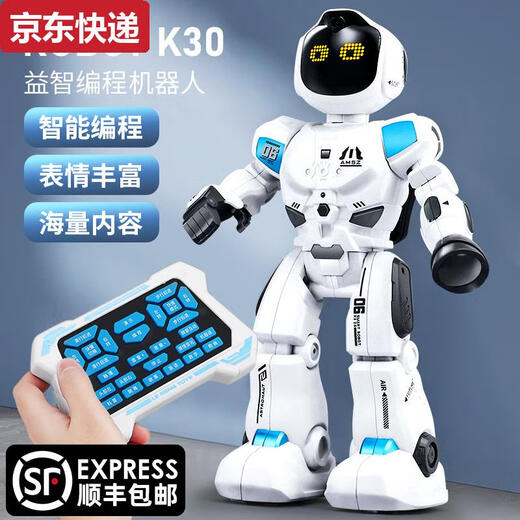Qilicai 2025 Robot Robot с дистанционным управлением Детские танцы Умный электрический электрический дошкольник игрушки для детей маленького девочка подарка на день рождения 19 Следует