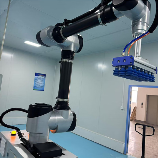 Pinwuyou Portable Collaborative Palletizing Robot Mechanical Arm 30KG Palletizer Warehousing Logistics Warehouse Industrial Robot Reservation Deposit