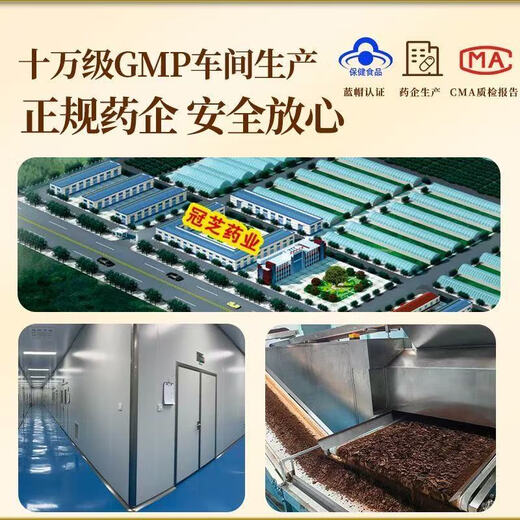 Yiniankang Blue Hat Certified Ganoderma Ganoderma Spore Polvo auténtico Changbai Mountain Red Ganoderma Spore Powder mejora la inmunidad 1 CAN 250G