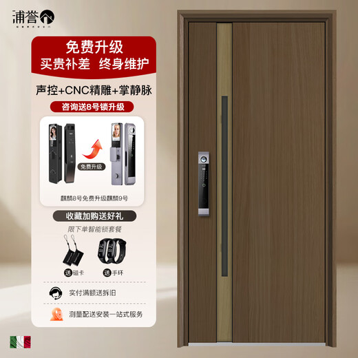 Foam filled silent Class A anti-theft door hidden door lintel wood grain transfer entrance door 2025 new Chinese style mansion double door luxury mechanical lock 2250*1050 single door