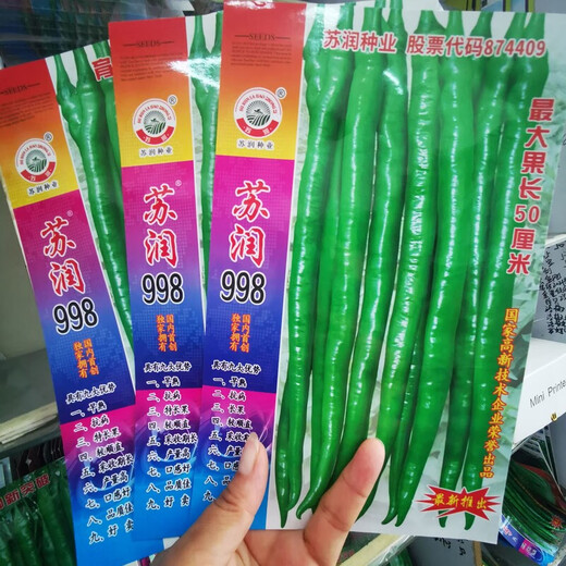 Семена перца Runxian 998 устойчивы к болезням, скороспелы и высокоурожайны. Качественные семена овощей высеваются в полевых базах на севере и юге в течение четырех сезонов (отправлено 5 упаковок) Сурун 998