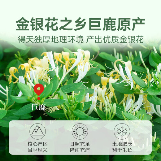 Gongyuan honeysuckle tea 100g special grade Sanfu herbal tea dried flower fire and fire soaked in water to remove damp heat and eczema in infants and children
