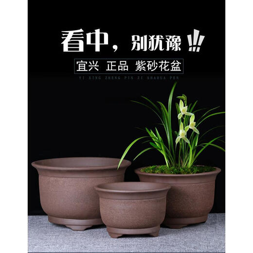 Yixing Extra-großer lila Lehmblütenblüte Grüne Efeu Bonsai Sukkulente Gemüse Orchideetopf rund Mund super großer Keramik Pot Marine Blau 695 große Größe