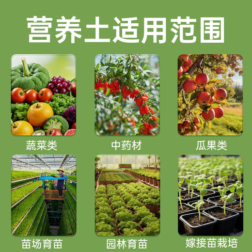 Flower Language Nutrient Soil Flower Culture Universal Household Succulent Orchid Seedling Special Peat Soil Planting Soil Flower Soil Flower Language Seedling Organic Substrate 3L