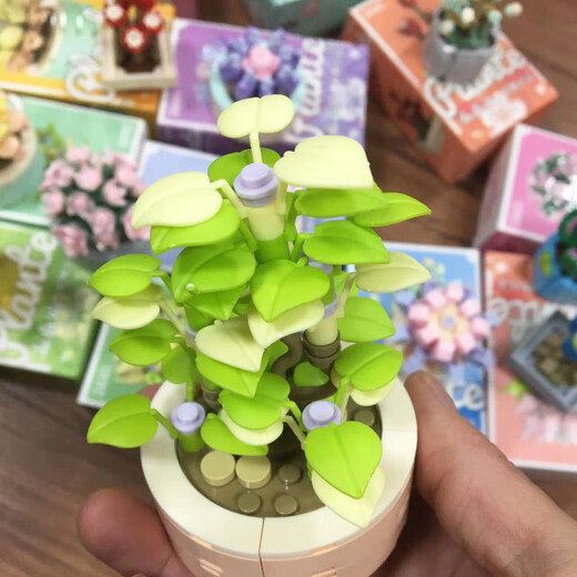 Mu Wangxing est compatible avec LEGO Jiaqi China Mini Succulent Pot Blocy Blocs Toys Girl Série Eternal Flower Teacher's Day's Lover XJ-10975 (B) Ju Huangyu