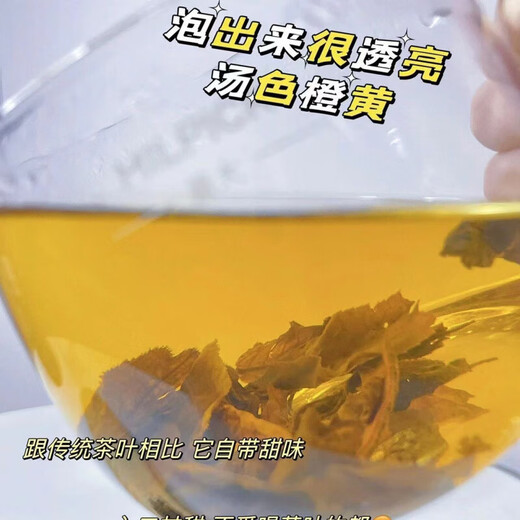 北京同仁堂【官方店旗舰】自在营江西修水野生青钱柳原叶原产地原生态青钱柳 野生嫩叶青钱柳茶[250克]