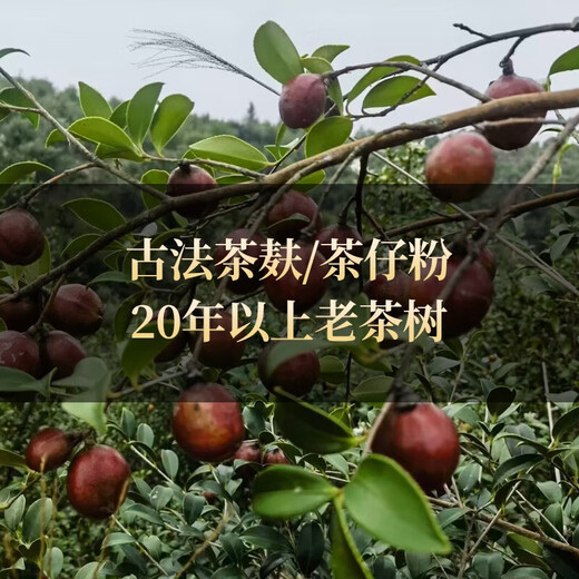 Tea seed cake, camellia oil dried flakes, natural traditional tea bran shampoo and conditioner, dishwashing and decontamination residue tea dried powder for home use, loose fine powder - 500g delivered with 3 filter bags