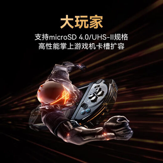雷克沙（Lexar）【大容量稳录】128G/256G TF(MicroSD)存储卡 U3 V60 A1 读280M 256GB