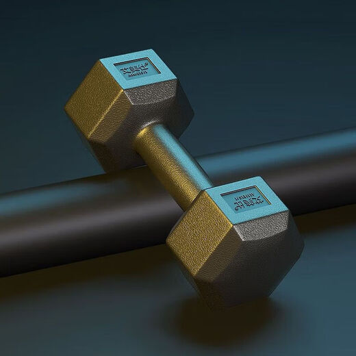 Zhizhou hexagonal dumbbell men's fitness student 2kg 5kg household 10kg rubber-coated arm training female fitness equipment total weight a pair 12Jin Jin equals 0.5kg (6Jin Jin equals 0.5kg *2 pieces)