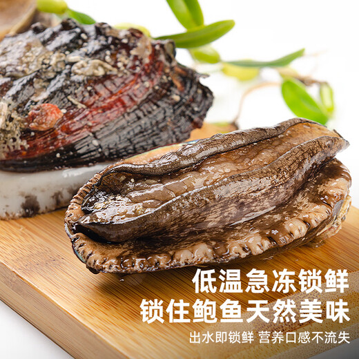 Haidingji shelled frozen abalone net weight 200g (8-14 pieces) fresh frozen original flavor New Year's Eve