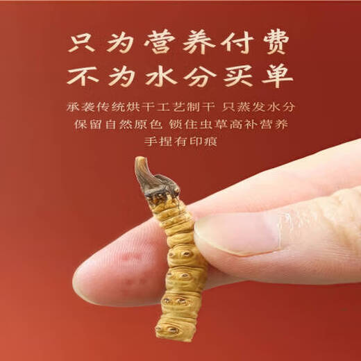 Beijing Tongrentang Pang Donglai Tong Quality [Support Quality Inspection] 10 grams of large broken grass authentic Cordyceps sinensis cordyceps sinensis cordyceps sinensis cordyceps sinensis 10 grams pack one gram hair 11 grams