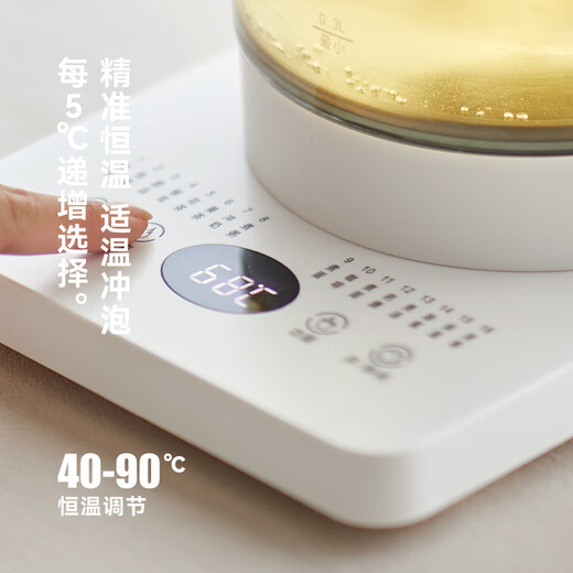 Olayks health kettle 316 kettle tea maker large capacity constant temperature electric kettle multifunctional electric tea kettle with filter 1.5L