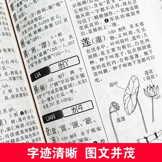 现代汉语词典第7版+新华字典12版双色本+成语大词典 彩色最新修订版 套装3本 学生工具书现代汉语词典第7版2025最新版商务印书馆出版可搭牛津高阶英汉双解词典古汉语