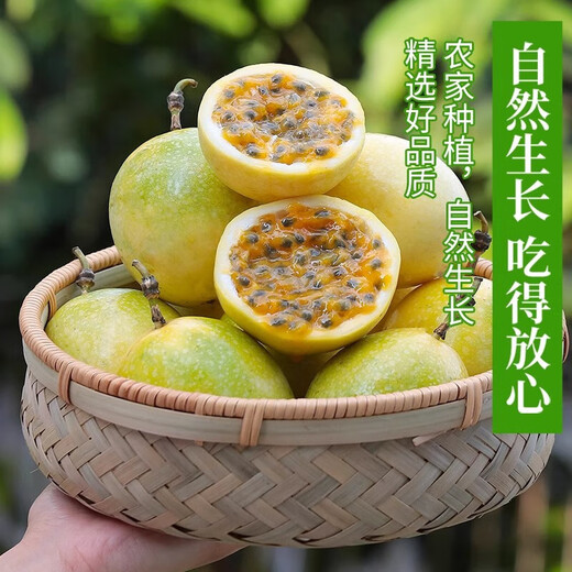 Guangxi Qinmi No. 9 Golden Passion Fruit Wancheng Seasonal Fresh Large Fruit Huangpiguo Milk Tea Shop Fruit 1 Jin Jin is equal to 0.5 kg, about 11-17 pieces, single fruit 30-45g