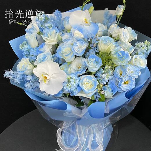 Pick up light and reverse travel flowers. Deliver in the same city. Michigan crushed ice blue rose bouquet for your girlfriend’s birthday gift. The bouquet arrives within an hour. Dielianxingchen | Crushed ice blue with fountain grass, blue star flower and platycodon mixed bouquet.