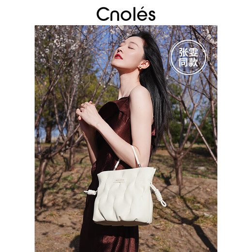 Cnoles Sac étoilé Sac pour femmes 2025 Bird Bird Bag Bag haut de gamme Crossbody Gift Heart Heart For Girlfriend Teacher's Day Gift - Nouveau cadeau d'anniversaire pour femme