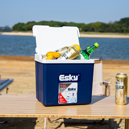 Eski Car Refrigerator Cooler Insulated Box 33L with Skylight Outdoor Insulated Box Cooler Camping Portable Fresh Box 10L (With Ice Brick 1)