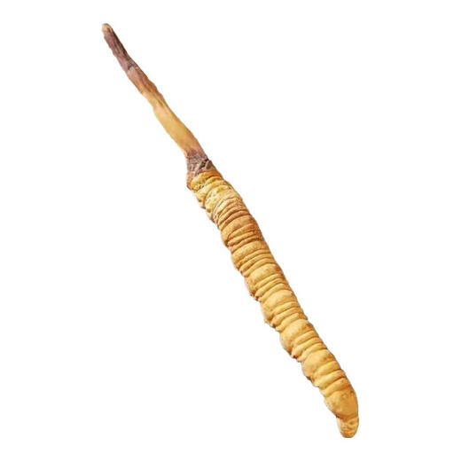 Beijing Tongrentang Pangdonglai Tonglai Cordyceps Cordyceps Boîte-cadeau Tonic Cordyceps Box cadeau King Produits nutritionnels Matériaux médicinaux toniques 50 Boîte-cadeau (Spécifications 3 tiges par gramme)