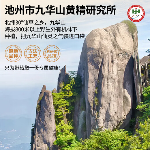 Caomufang Organic Polygonatum 500g Ready-to-eat version Polygonatum odorifera nine-steamed, nine-dried, nine-processed Jiuhuashan authentic tea Chinese herbal medicine