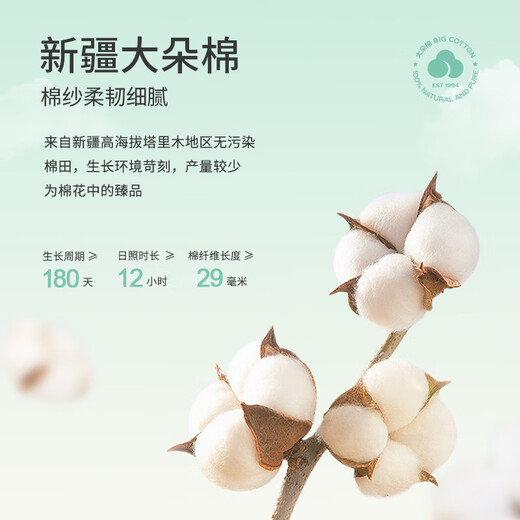 新一步七分袖九分裤女款睡衣V领印花大码开衫透气家居服套装 S4839-琉璃橙 3XL