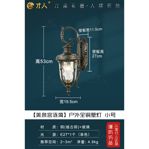 才人欧式全铜防水壁灯 别墅室外走廊过道楼梯灯 庭院大门外墙壁灯 全铜户外壁灯（AW-9856/1)）