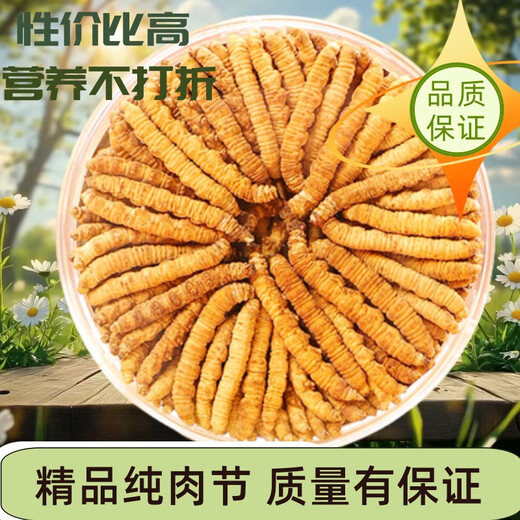 Cordyceps sinensis big broken grass pure meat festival affordable authentic big broken grass 50g gift box for gift for self-use. Authentic fine meat festival 5g pack for Tibet Nagqu authentic fine meat festival