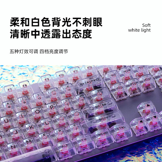 罗技（G）K845有线机械键盘透明键帽打字电脑办公青红茶轴电竞游戏 k845猫咪键帽(键帽独立包装) 标配 x 否 x 104键 x TTC-茶轴