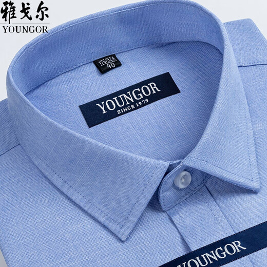 CEO雅戈尔男士短袖衬衫夏季纯棉免烫中年休闲商务职业正装格子衬衣服 短袖DX6629 38