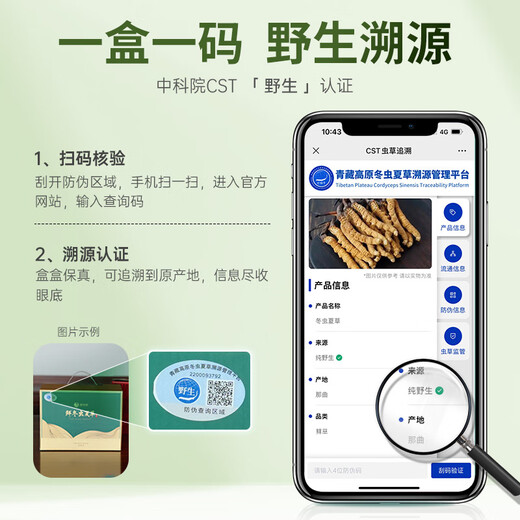 Guokuntang [Chinese Academy of Sciences Traceability] Fresh Cordyceps sinensis Nagqu, Tibet. Wild first-stubble fresh Cordyceps gift box Nagqu fresh grass 0.6-0.8g/root 50 roots